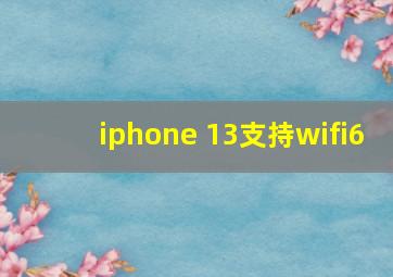 iphone 13支持wifi6